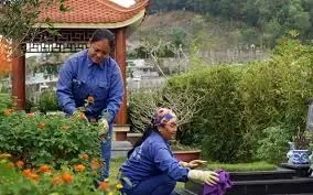 Những lưu ý quan trọng khác